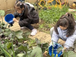 传承雷锋精神 江岸区滨江幼儿园在行动