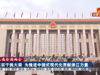 直通全国两会丨重实干挑大梁 为推进中国式现代化贡献浙江力量