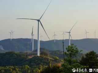 发力光伏、风电无废工厂，青岛高新区向“新”向“绿”走出新赛道