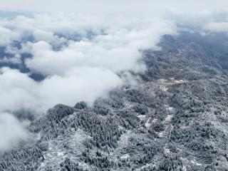 酉阳春雪刷屏 解锁诗意美景