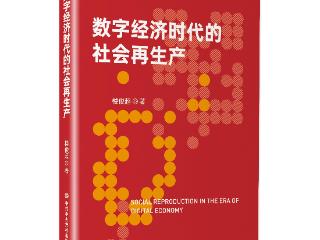 《数字经济时代的社会再生产》：当好发展数字经济的行家里手