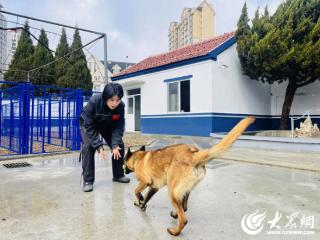 了不起的女警｜“与犬共舞” 不负芳华