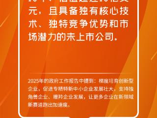 2025全国两会·特别聚焦｜首次出现在政府工作报告中的新词，和它背后的吉林新赛道