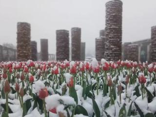 今夜，贵州这些地区还有冻雨或雨夹雪！三月下雪正常吗？专家解读来了