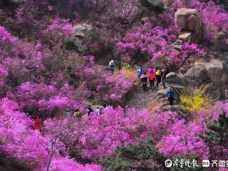 30项活动4条线路！解锁青岛西海岸春日旅游密码