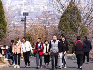 三八节济南春光明媚，市民阖家登山欣赏春色