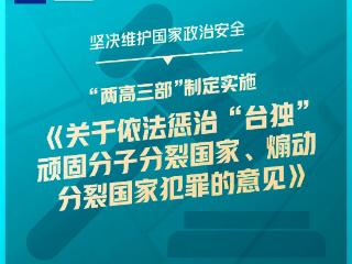 干货满满！一组图梳理“两高”工作报告