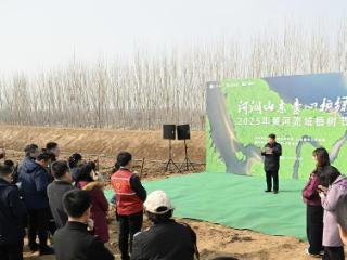 绿色长廊添新绿！“河润山东 壹心护绿”黄河流域植树节今日举办