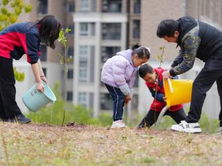 亲子植树添新绿