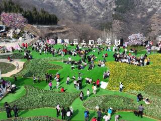 红叶柿岩“云上的郁花园”暨第三届山野生活节浪漫启幕