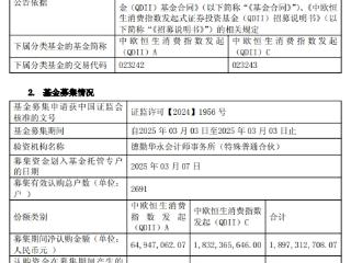 中欧恒生消费指数发起成立 募集金额19亿元