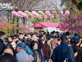 探索文旅商体展联动机制，上海静安花朝节开幕