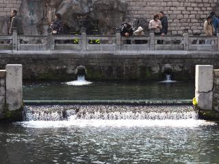 济南进入春游季，护城河畔红花、绿柳、碧泉醉游人