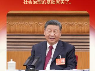 习近平两会时刻丨小社区里的“国之大者”