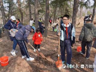 植树栽花、“绿”动市集，植树节月青岛将有百余场活动