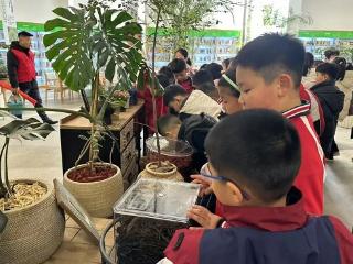 临沂金雀山小学：植此金山绿 童心向春生