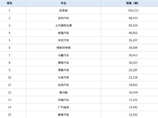 2月份最畅销的车型TOP10出炉：小米SU7冲到第六名