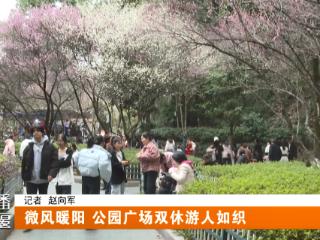 人民公园、四方山植物园……十堰市民相约周末赏花踏春