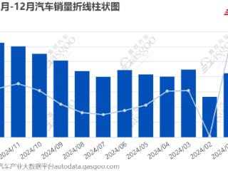 2024年全球电动汽车销量及品牌排名情况