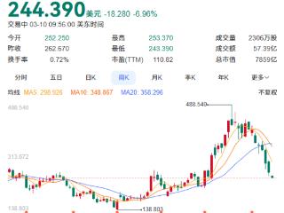 特斯拉股价大跌7% 距历史最高价已腰斩