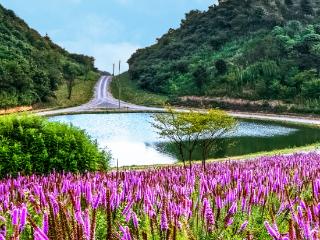 渝见好“村”光 | 花漾秘境：涪陵区大木镇武陵村