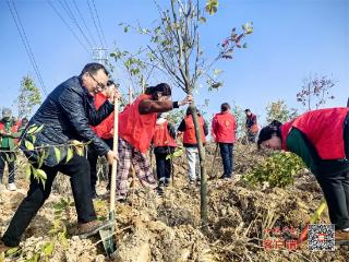 房县文旅局：春风添新绿 文旅在行动