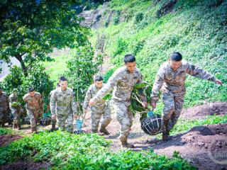 春日军营添新绿 武警官兵共植希望之树