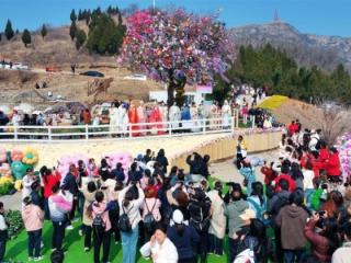 好客山东先行军！持“齐鲁1号”车票，免票游红叶柿岩