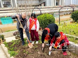 小手拉大手，“共享花园”里的绿色梦！