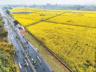 奔跑花海间