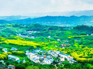 渝见好“村”光 | 绿染芳春：北碚区柳荫镇东升村