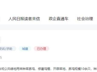 有回音｜绿化带里种菜养鸡？重庆多部门积极回应解决