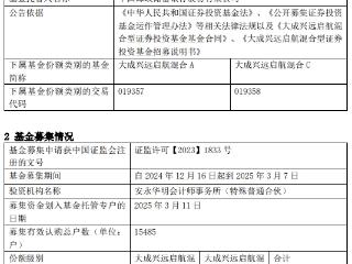 大成兴远启航混合成立 规模13亿元