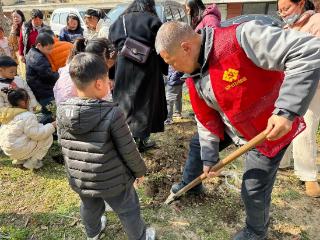 苏州园区车坊社区：巾帼植绿意，繁花靓家园