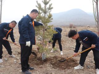 高质量发展看山西国企：撒绿色希望 铺就生态之路——山西路桥二公司开展植树活动