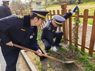 无锡梁溪城管：植树播绿意，不负好春光