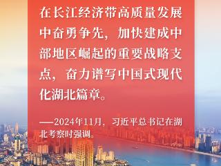 牢记总书记的嘱托丨湖北，何以支点