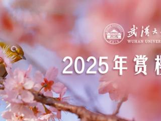 武汉大学发布2025年赏樱政策：3月12日起开启预约