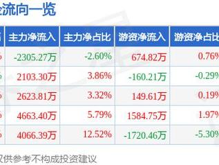 恒锋信息（300605）3月12日主力资金净卖出2305.27万元