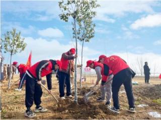 中建七局六公司：携手添新绿，建证绿色未来