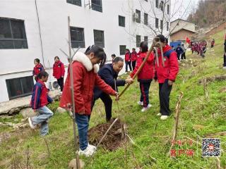 房县大木厂镇大木小学开展“播种绿色希望，共建美丽校园”师生植树活动