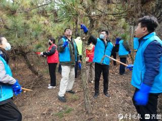 中粮黄海积极投身植树节森林抚育活动