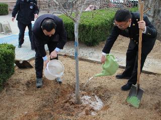 兴业银行泰安分行开展“‘植’此青绿 共‘树’未来”植树节联合共建活动