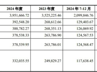 中策橡胶拟上交所主板上市 高负债5年共分红28亿元