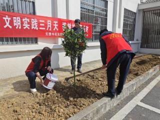 溧水洪蓝无想寺社区：文明实践三月天 植树护苗正当时