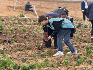 山东圣翰财贸职业学院开展“青春护绿”植树节主题活动