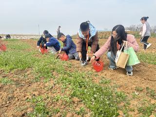 小手拉大手 江心洲洲岛绿园社区开展植树节主题活动