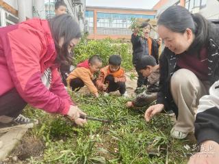 “小园丁”播种大梦想！薛峰幼儿园春播节童趣满园