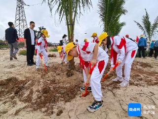 “扮靓”海口北港岛生态，他们在行动