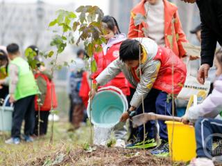 重庆已建成20个保障性苗圃 以免费“绿色订单“赋能美丽山城建设